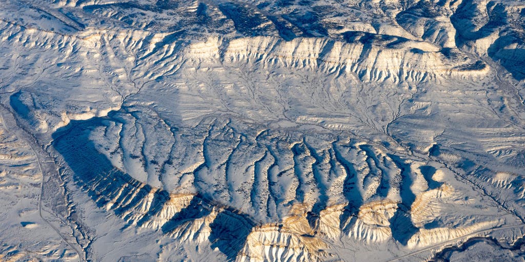 'Big Chunky' fossil reveals bizarre new squid-like species that lived 160 million years ago