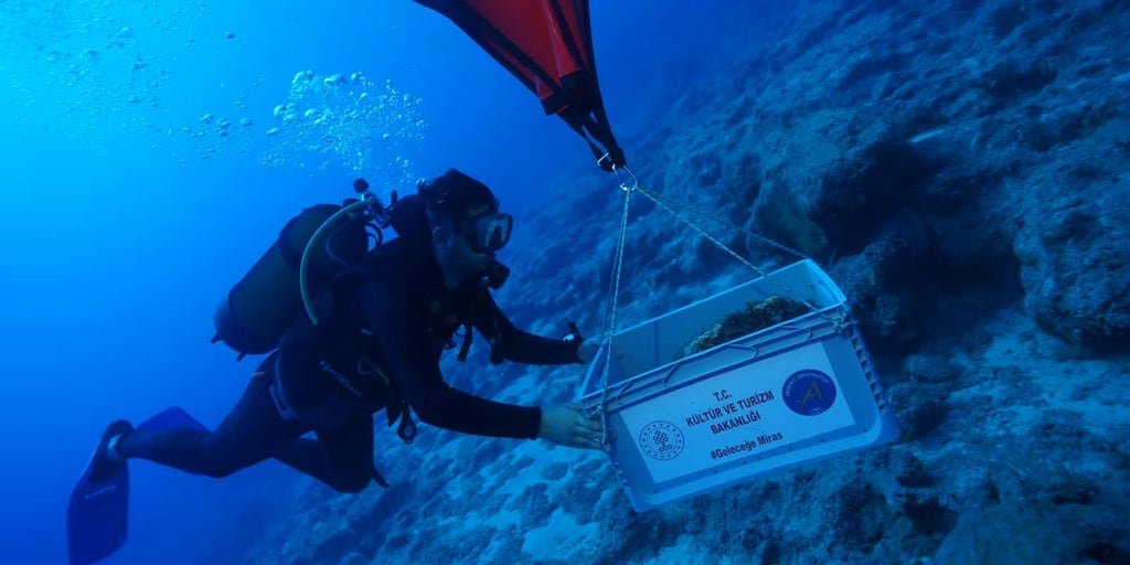 Archaeologists in Türkiye may have found the world’s oldest shipwreck