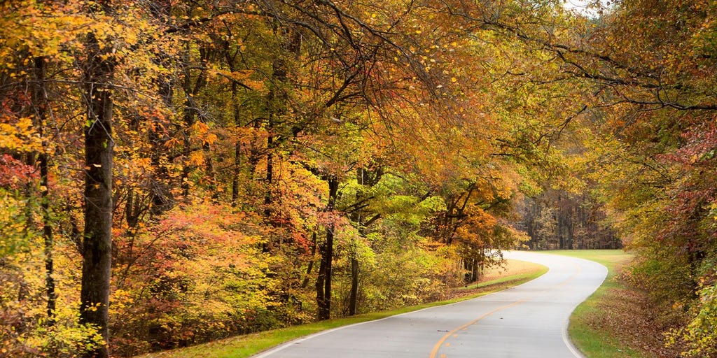List reveals 5 US National Parks worth visiting with picture-perfect views of fall foliage and scenic hikes