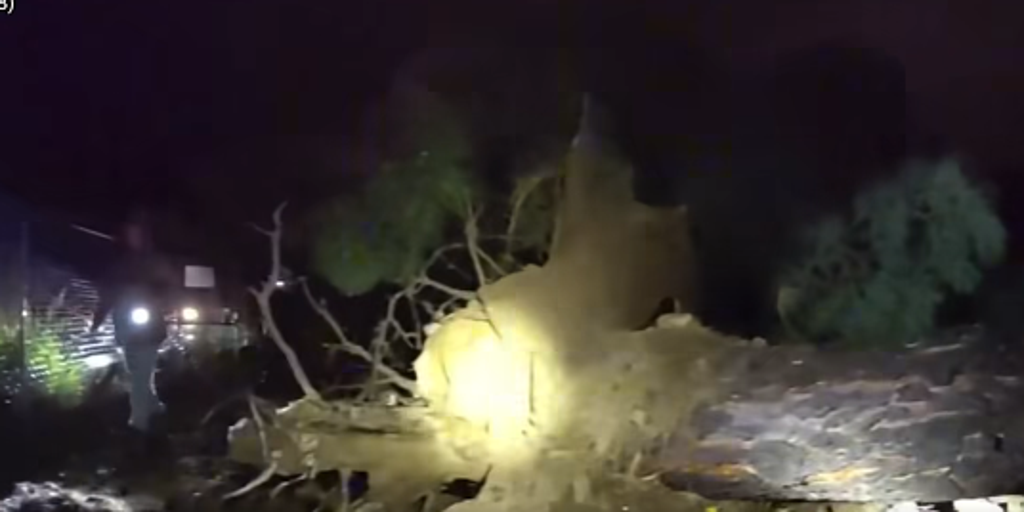 See it: Severe storms leave New Mexico communities littered with damage and downed trees