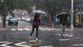 Fall storm to blast 40M across major Northeast cities with severe weather ahead of the season's first freeze - Fox News