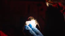 Glacier National Park reports first case ever of deadly bat fungal disease