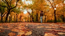 Gloomy Sunday brings rain to East before chilly stretch grips millions with first October frost