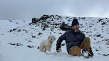 Dog miraculously found alive 2 days after being separated from owner in Alaska avalanche