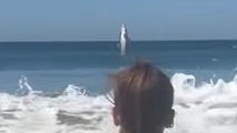 See it: California beachgoers capture video of monster great white shark leaping out of the water