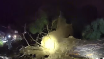See it: Severe storms leave New Mexico communities littered with damage and downed trees