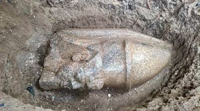 Man discovers mysterious stone outside home, leading to massive 3,300-year-old Egyptian treasure