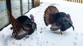 This was the last nationwide White Thanksgiving. How Super El Niño and the polar vortex could shape 2026