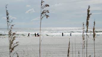 Dad of 2 tragically drowns after being caught in current trying to save seagull - Fox News