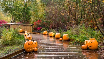 More than 20 states to see troublesome Halloween weather as rain, storms dominate the forecast - Fox News