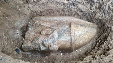 Man discovers mysterious stone outside home, leading to massive 3,300-year-old Egyptian treasure
