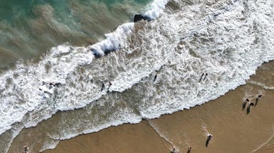 'Aggressive' and massive great white shark sighting prompts immediate closure of popular California beach