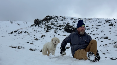 Dog miraculously found alive 2 days after being separated from owner in Alaska avalanche