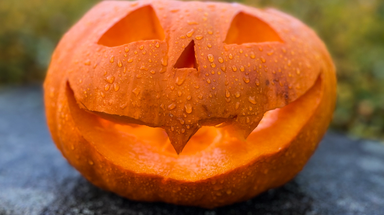 Trick-or-treating threatened for millions as Tropical Storm Vance's moisture fuels spooky Halloween washout