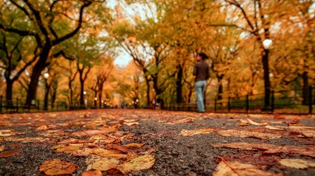 Gloomy Sunday brings rain to East before chilly stretch grips millions with first October frost