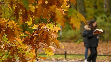 West Coast plagued by unbearable heat while the East experiences first taste of chilly weather this fall