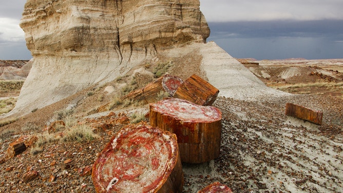 Highway 180 and Petrified Wood in Petrified Forest National Park.