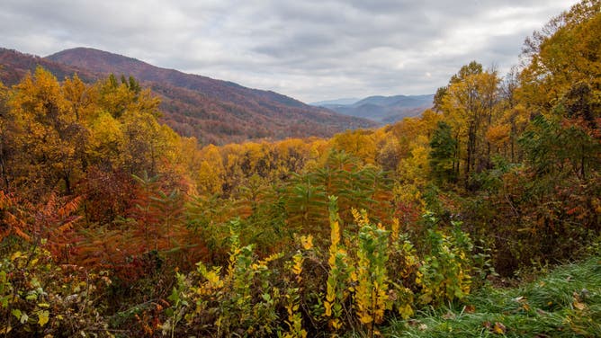 Views of the Great Smoky Mountains National Park are seen in Tennessee, United States on November 10, 2018. 
