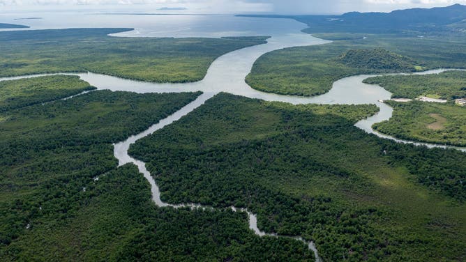 Aerial view of mangrove in El Espave, Chame District, 80 km southwest of Panama City, on October 01, 2021.