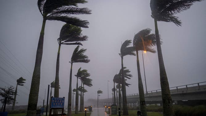 Wind blows palm trees ahead of Hurricane Ian in Charlotte Harbor, Florida, on September 28, 2022.