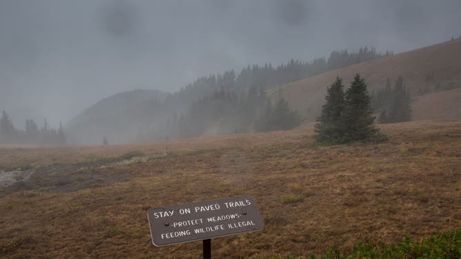 PORT ANGELES, WA - SEPTEMBER 17: Olympic National Park's first major rain storm since June rolls across Hurricane Ridge, a popular destination overlooking the entire Olympic Mountain Range on September 17, 2021, near Port Angeles, Washington.