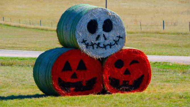 North America, USA, South Dakota, SR 240, Hay Bale Halloween Decorations.