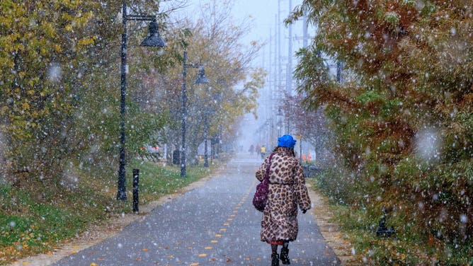 BLOOMINGTON, INDIANA - NOVEMBER 9: A woman in a leopard skin jacket walks on the B-Line in snowfall on November 9, 2025, in Bloomington, Indiana.