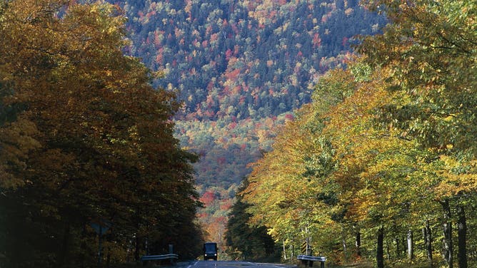 UNITED STATES - APRIL 23: Trees with autumn foliage, Kancamagus Highway, White Mountains, New Hampshire, United States of America.
