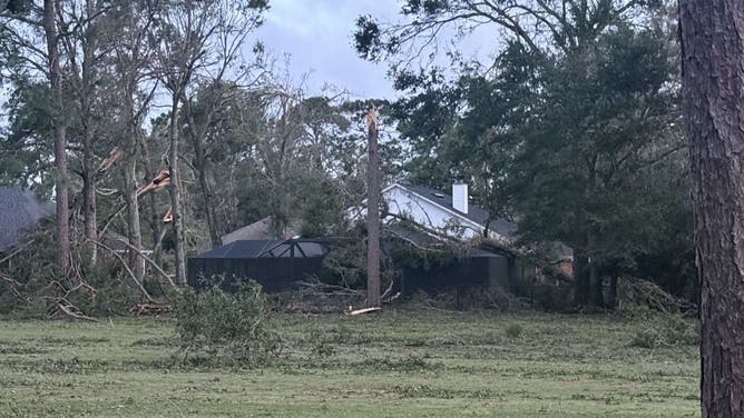 Downed trees on top of home in Florida.