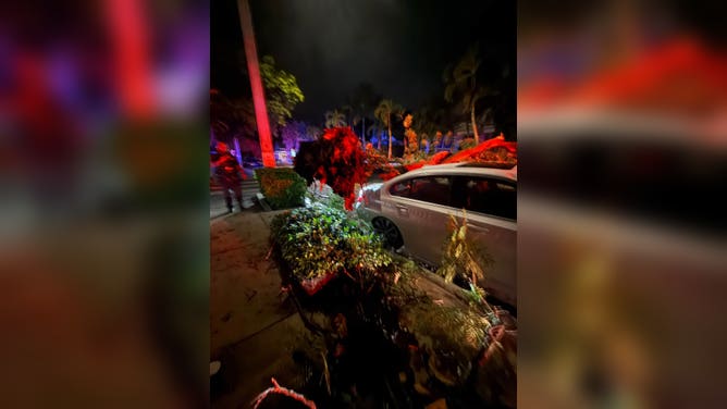 Tree topples onto car in Key West, Florida, after record downpours.