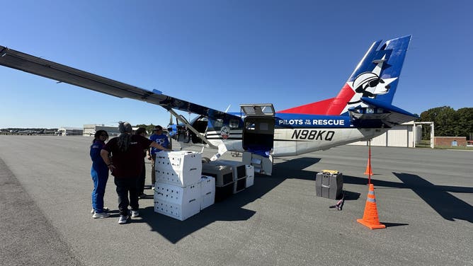 A line of crates getting put onto the plane.