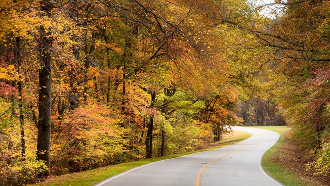 Natchez Trace Parkway during fall.