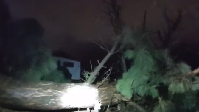 Large tree lay on the ground in front of a home in New Mexico.