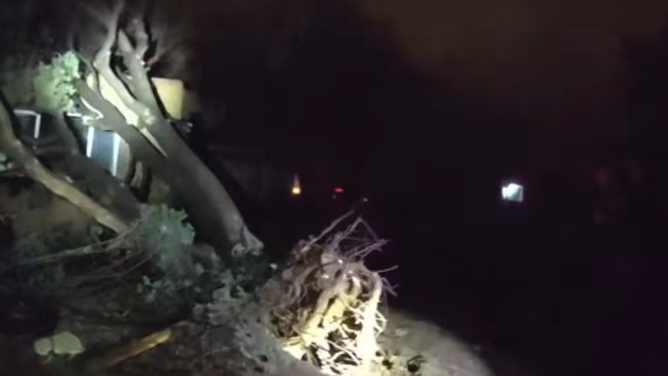 Neighborhood in Santa Fe, New Mexico, littered with downed trees and debris from severe storms.