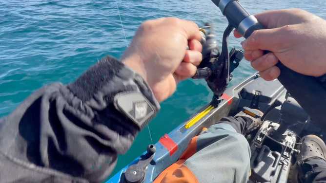 Reeling the fishing line in as quickly as possible after seeing the shark approaching.