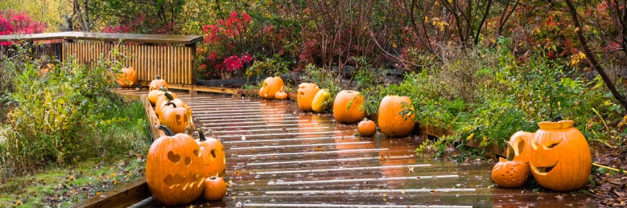 More than 20 states to see troublesome Halloween weather as rain, storms dominat